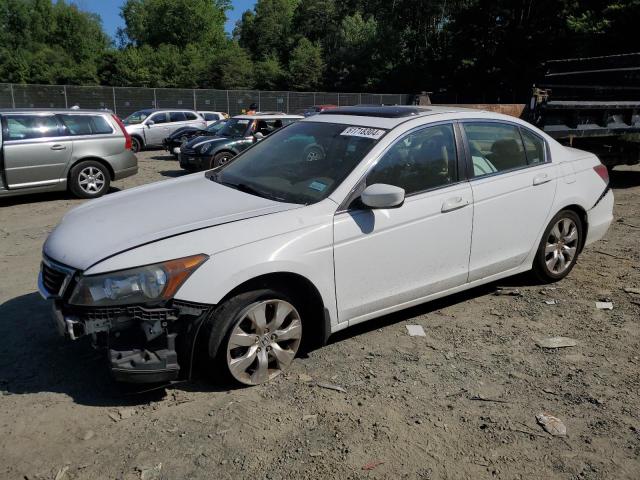 2008 HONDA ACCORD EX #3024831409