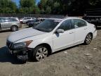 Lot #3024831409 2008 HONDA ACCORD EX