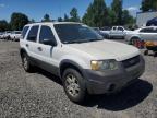 FORD ESCAPE XLT photo