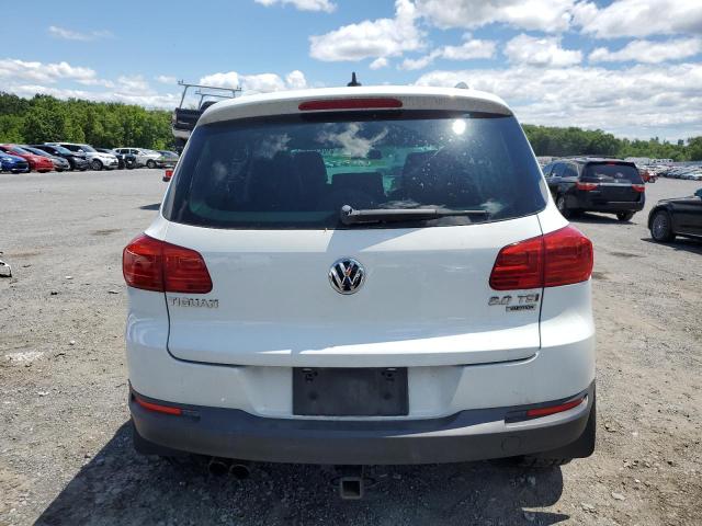 2014 Volkswagen Tiguan S VIN: WVGBV3AX1EW625224 Lot: 61043944