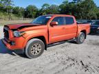 2017 TOYOTA TACOMA DOU - 3TMAZ5CN3HM043884