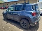 Lot #2929251522 2023 JEEP RENEGADE T