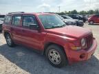 Lot #3024837429 2009 JEEP PATRIOT SP