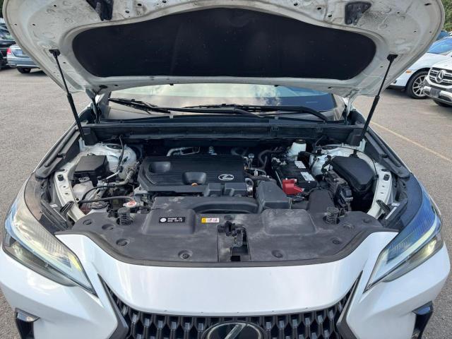 2022 LEXUS NX 250 2T2ADCAZ7NC001825
