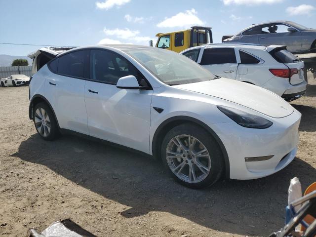 2023 TESLA MODEL Y 7SAYGDEE0PF648317