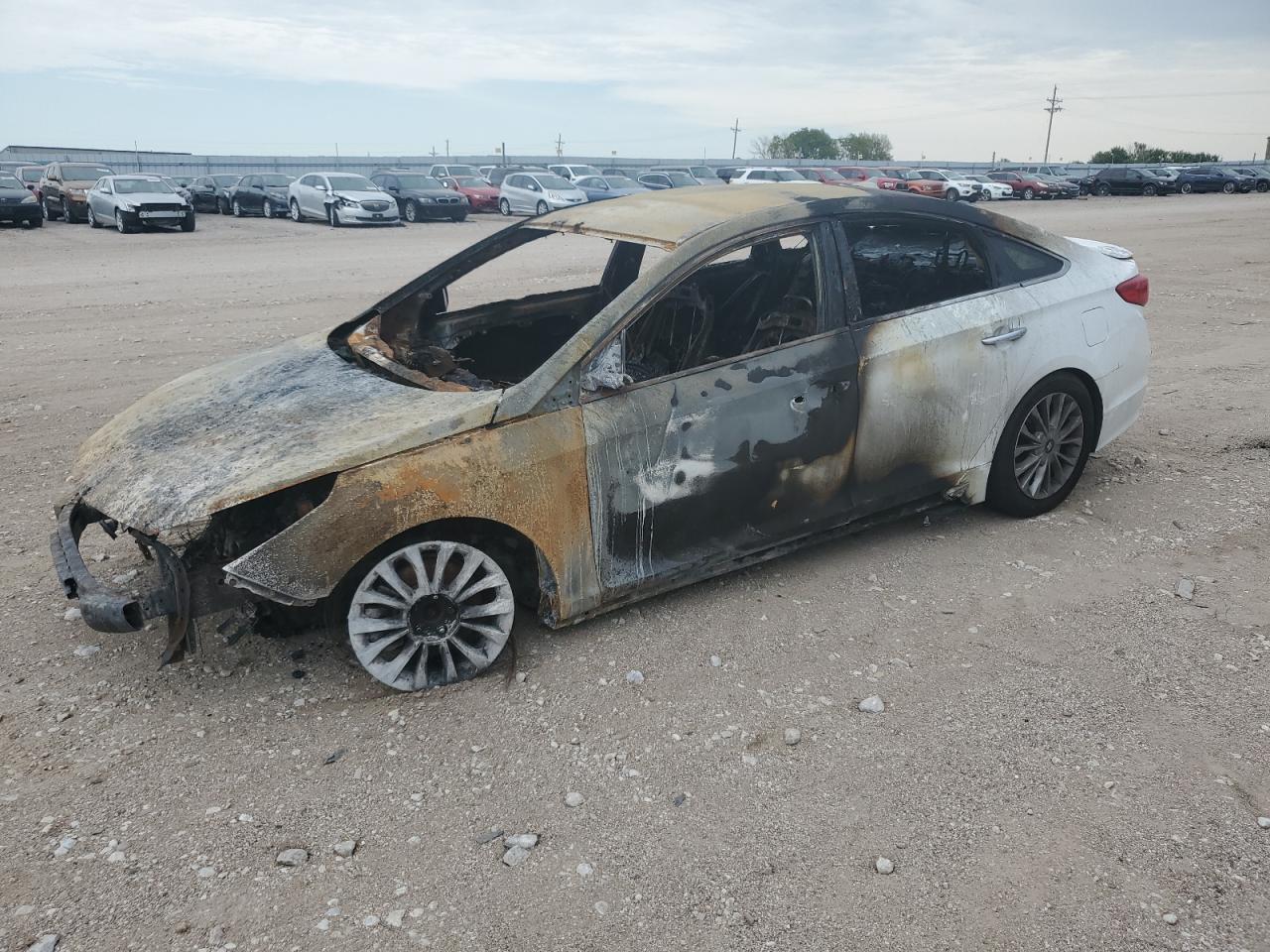 Lot #3216265029 2015 HYUNDAI SONATA SPO