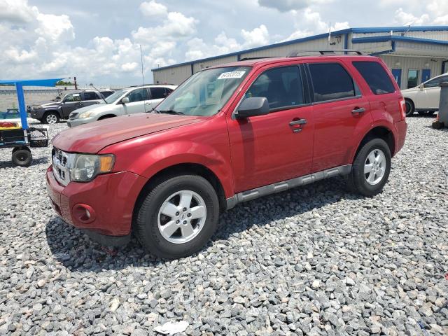 2010 FORD ESCAPE XLT - 1FMCU0DGXAKA08889