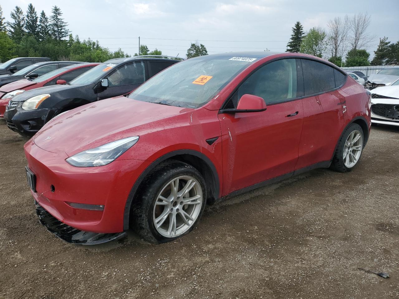 TESLA MODEL Y