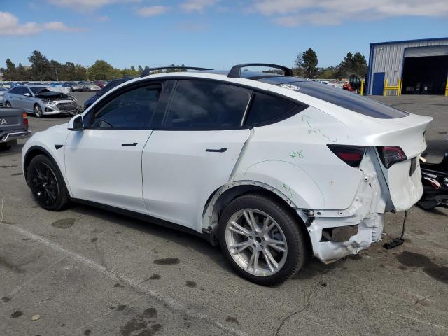2021 TESLA MODEL Y 5YJYGDEE3MF063174