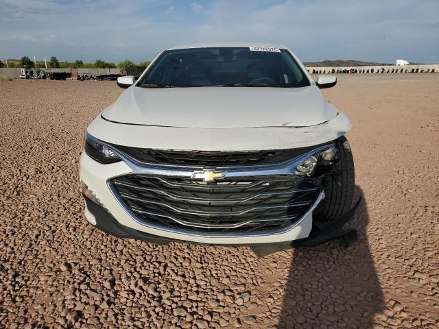 2019 CHEVROLET MALIBU LT - 1G1ZD5ST9KF177428