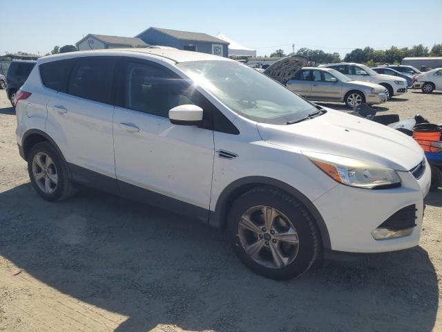 2014 FORD ESCAPE SE #3206339131