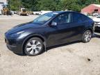 2024 TESLA MODEL Y - 7SAYGAEE5RF019234