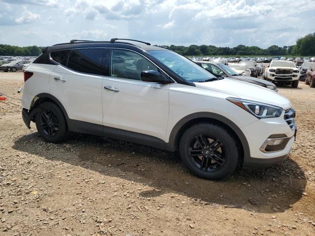 2017 HYUNDAI SANTA FE S - 5NMZUDLB8HH016149