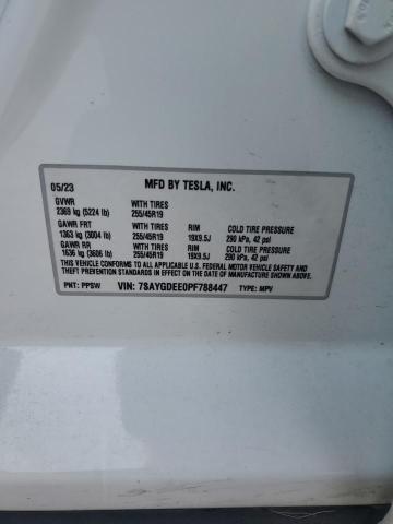 2023 TESLA MODEL Y - 7SAYGDEE0PF788447