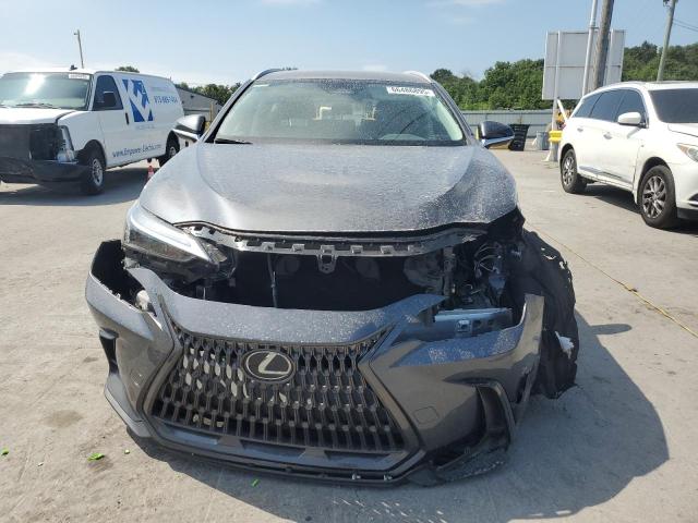 2024 LEXUS NX 250 BAS 2T2ADCAZ8RC007929