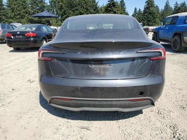 2025 TESLA MODEL 3 5YJ3E1EA7SF983379
