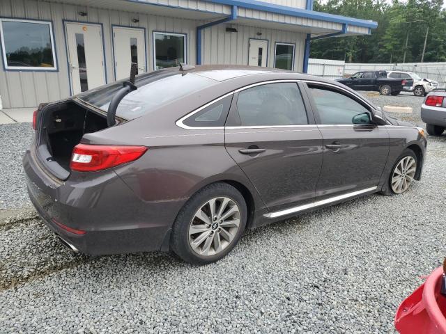 2017 HYUNDAI SONATA SPO 5NPE34AF4HH559766