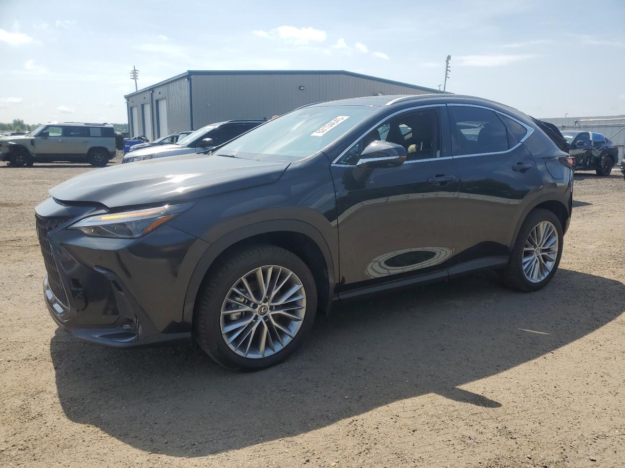 LEXUS NX 350H BASE
