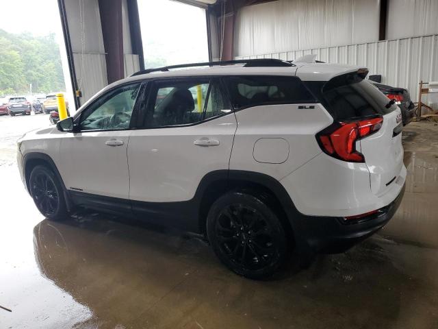 2020 GMC TERRAIN SL 3GKALTEV6LL207974