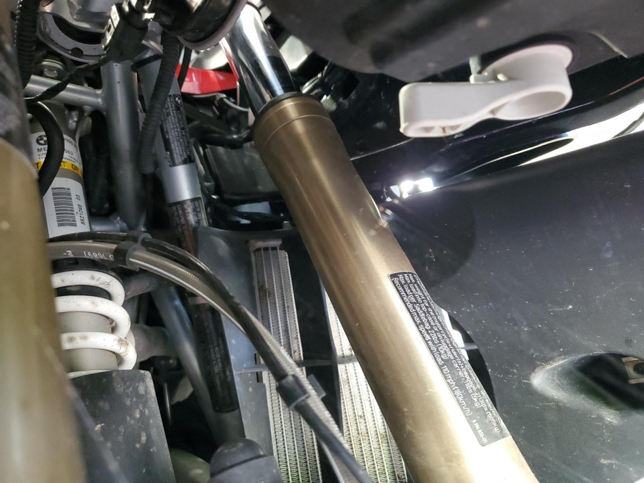 Lot #3301794345 2019 BMW R 1250 RT