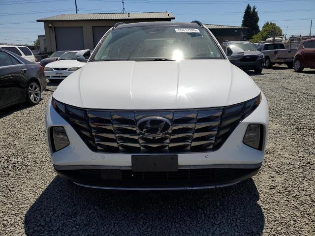 2023 HYUNDAI TUCSON LIM - KM8JECA19PU112521