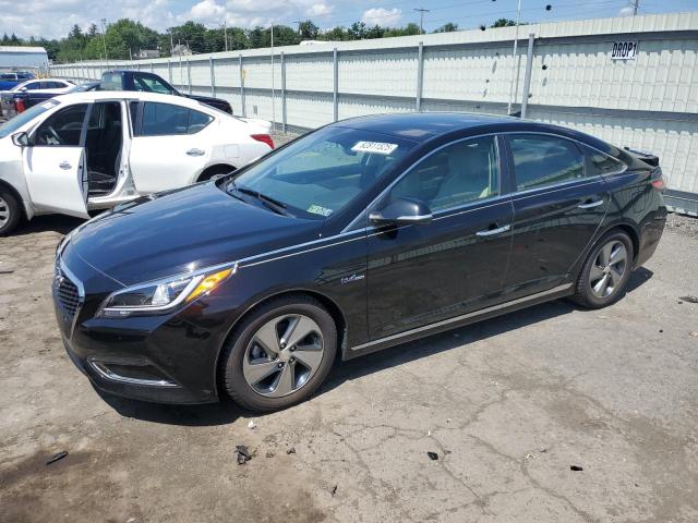Vin: kmhe34l12ga017598, lot: 62811525, hyundai sonata hybrid 2016 img_1
