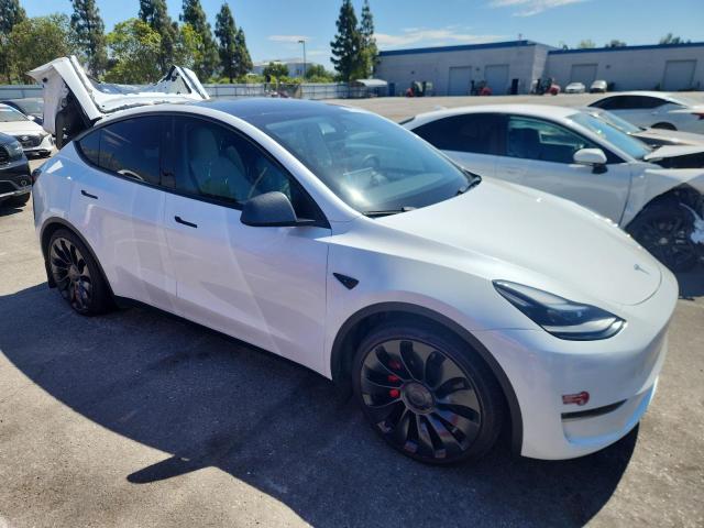 2023 TESLA MODEL Y 7SAYGDEF0PF902567