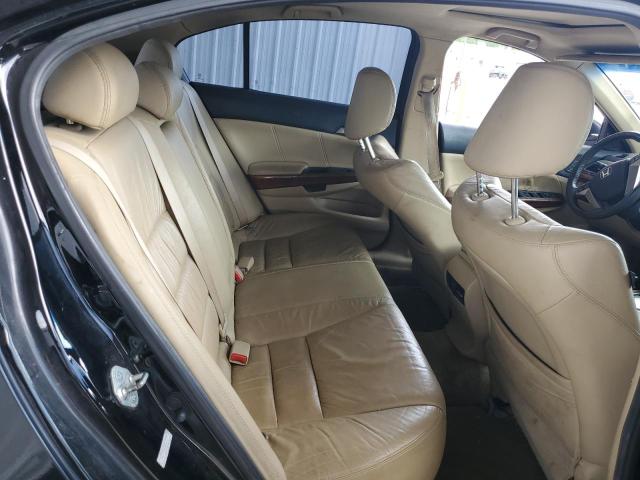 2011 HONDA ACCORD EXL - 1HGCP3F86BA023577