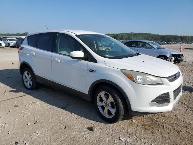 2014 FORD ESCAPE SE - 1FMCU0GX5EUB45907