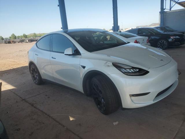 2023 TESLA MODEL Y 7SAYGDEE7PF599701