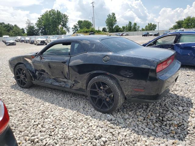 2013 DODGE CHALLENGER - 2C3CDYAG2DH599811