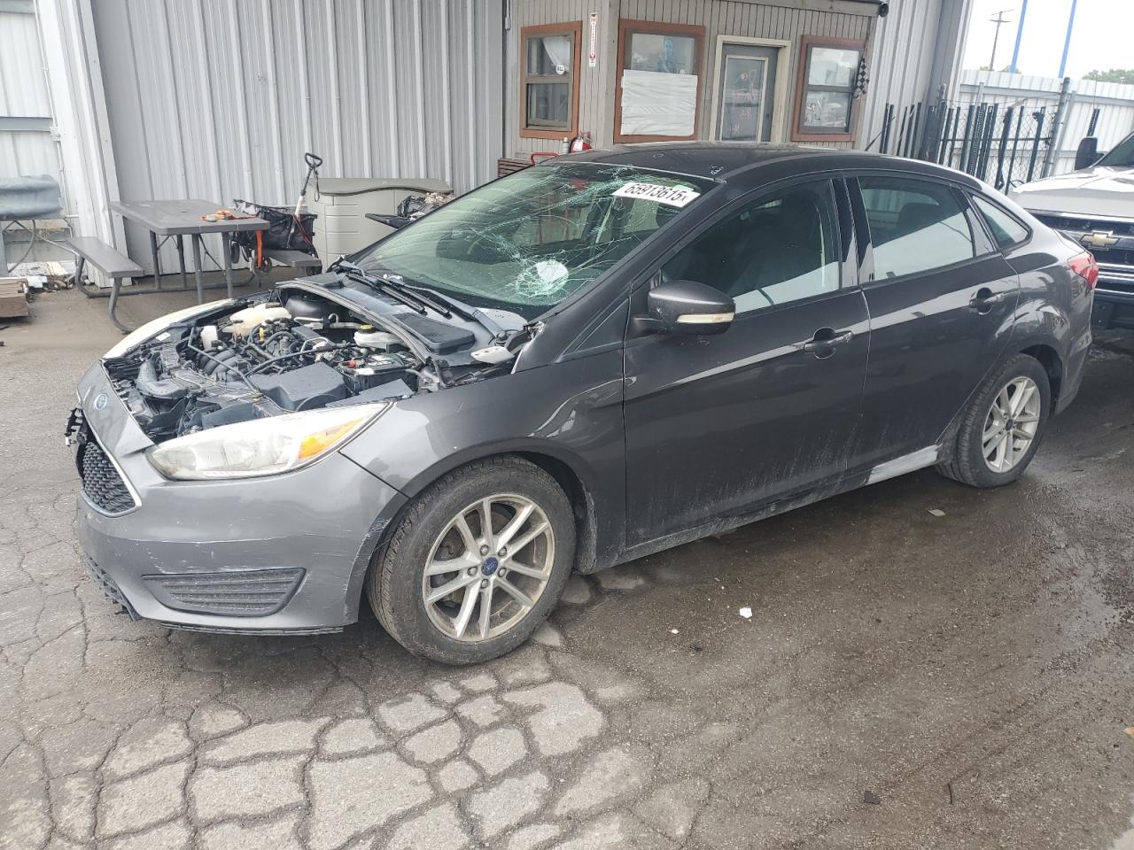 FORD FOCUS SE