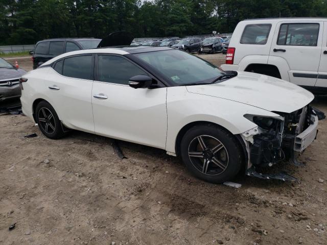 2021 NISSAN MAXIMA PLA 1N4AA6FV1MC511699