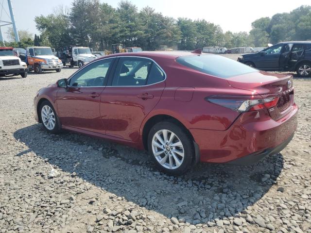 2021 TOYOTA CAMRY LE - 4T1C11AK5MU569744