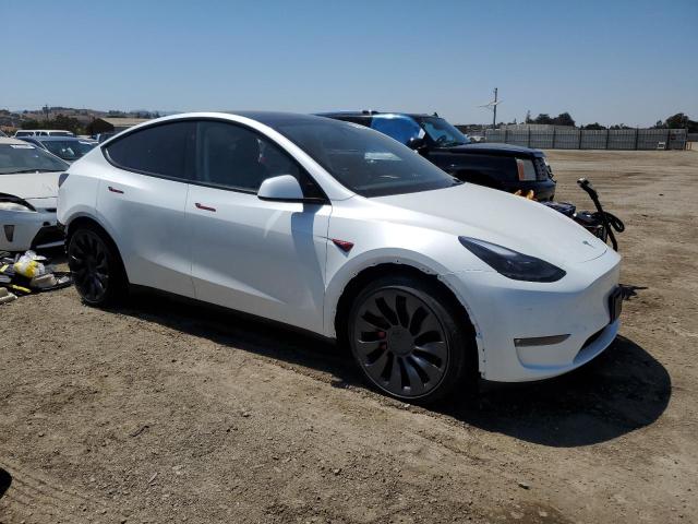 2025 TESLA MODEL Y - 7SAYGDEF2SF225899