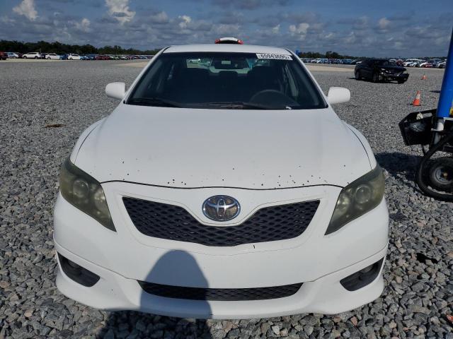 2010 TOYOTA CAMRY BASE - 4T1BF3EK1AU504386