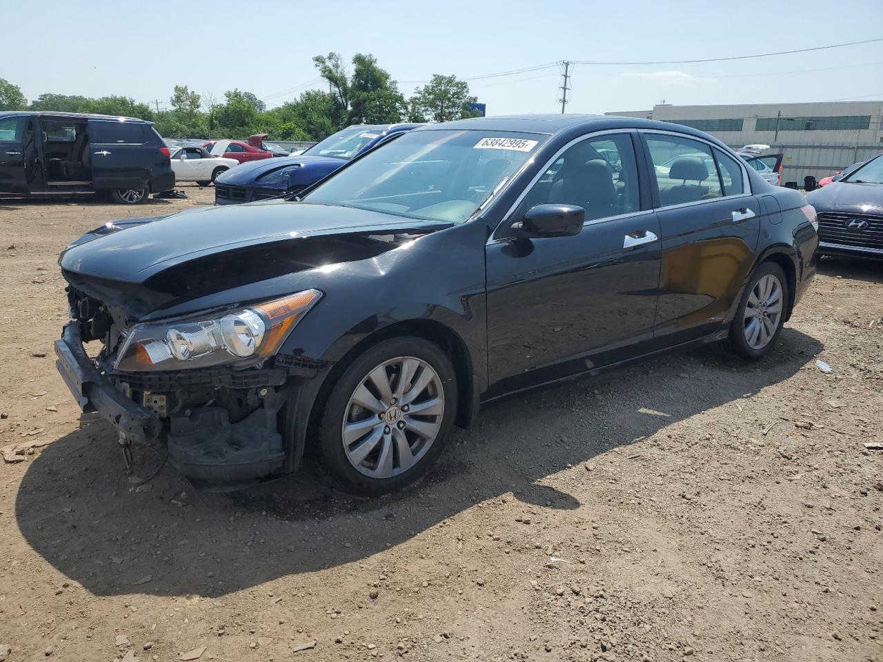 HONDA ACCORD EXL