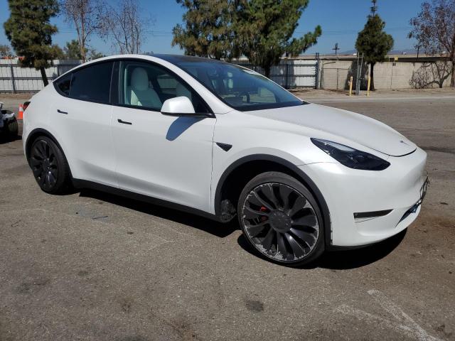 2023 TESLA MODEL Y 7SAYGDEF4PF661449