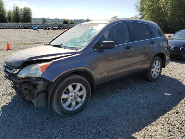 HONDA CR-V SE