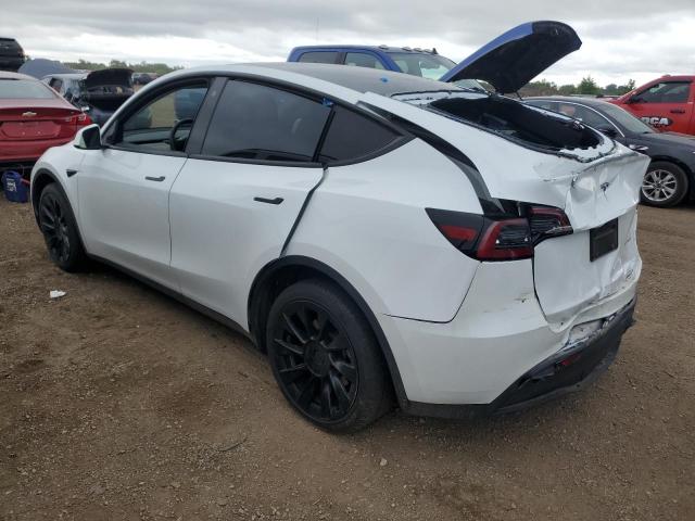 2023 TESLA MODEL Y 7SAYGDEE3PF676046