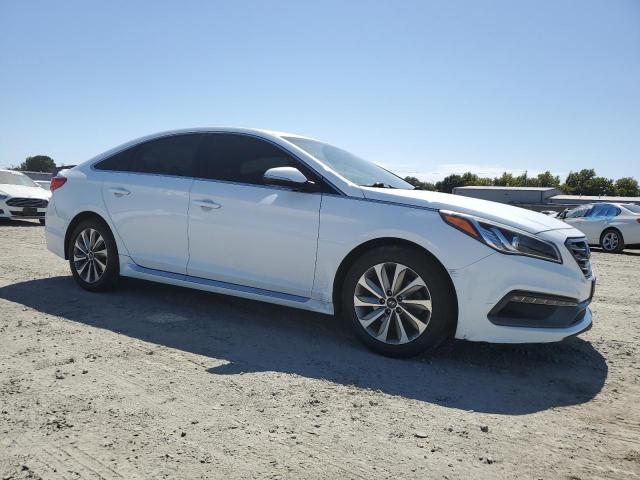 2016 HYUNDAI SONATA SPO 5NPE34AFXGH410857