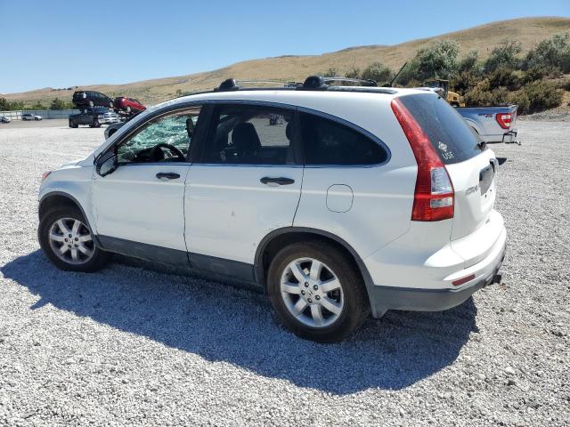 2011 HONDA CR-V SE - JHLRE3H42BC011068