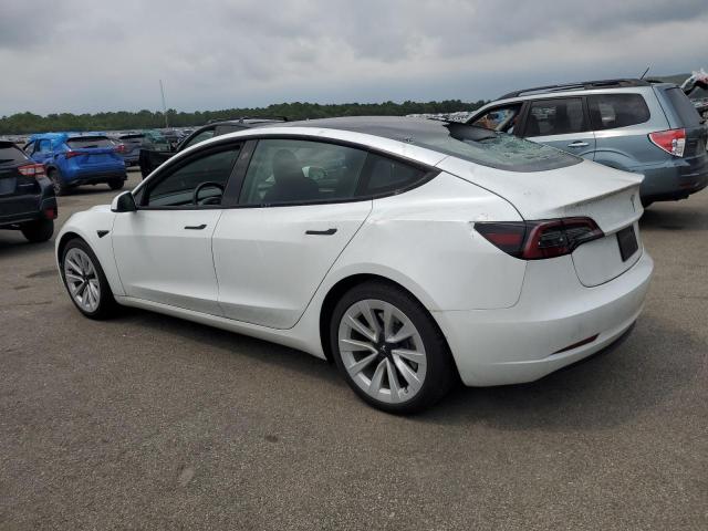 2023 TESLA MODEL 3 5YJ3E1EA1PF510956