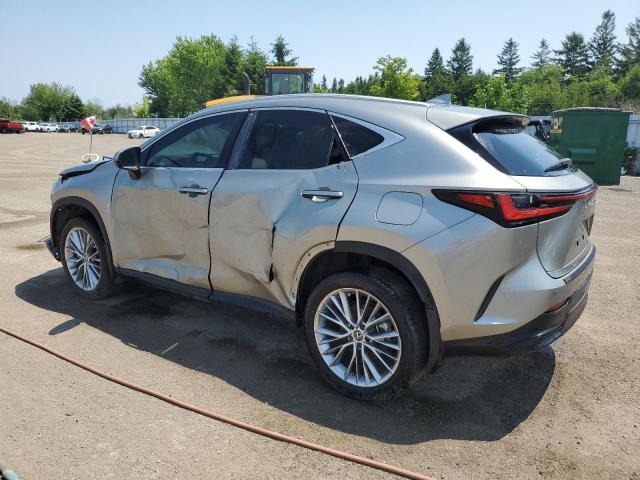 Vin: 2t2gkcez4rc025080, lot: 62932195, lexus nx 350h ba 350h base 20242