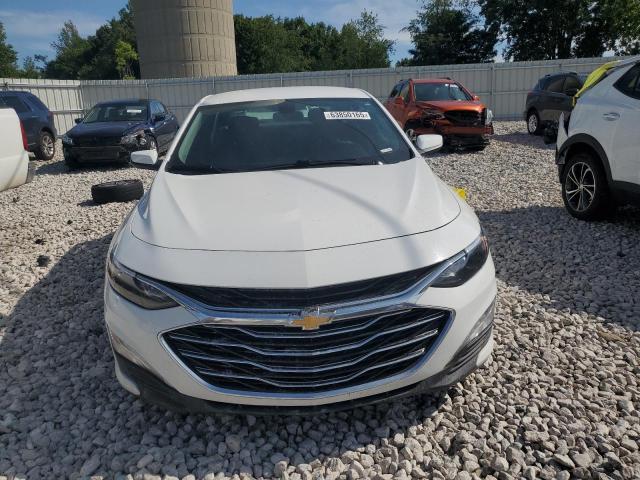2019 CHEVROLET MALIBU LT - 1G1ZD5ST3KF176436