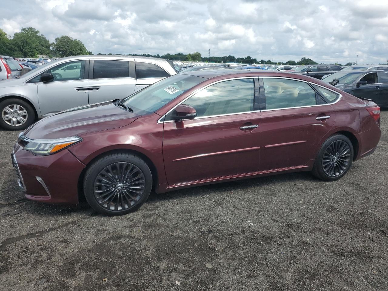 TOYOTA AVALON XLE
