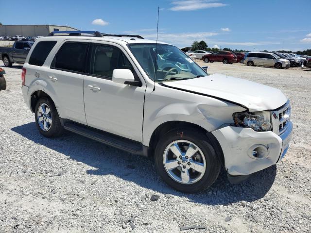 2010 FORD ESCAPE LIM - 1FMCU0EG4AKC46400