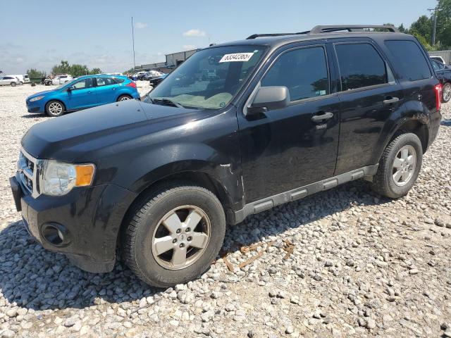 Global Auto Auctions: 2011 FORD ESCAPE XLT