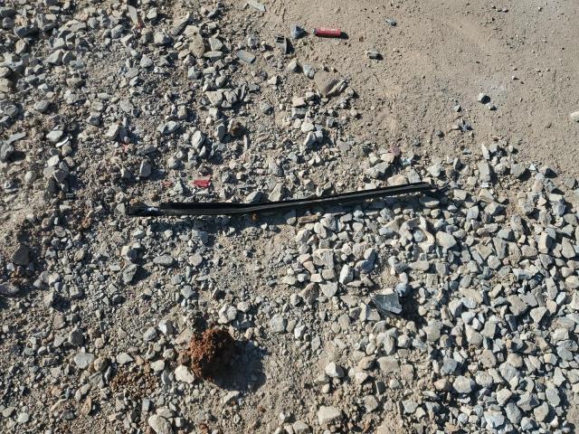 2023 VOLKSWAGEN TIGUAN SE 3VV3B7AX7PM137070