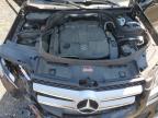 Lot #3296350146 2015 MERCEDES-BENZ GLK 350 4M